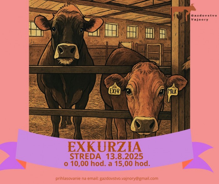 529868481 728331856773776 673121223987528432 n