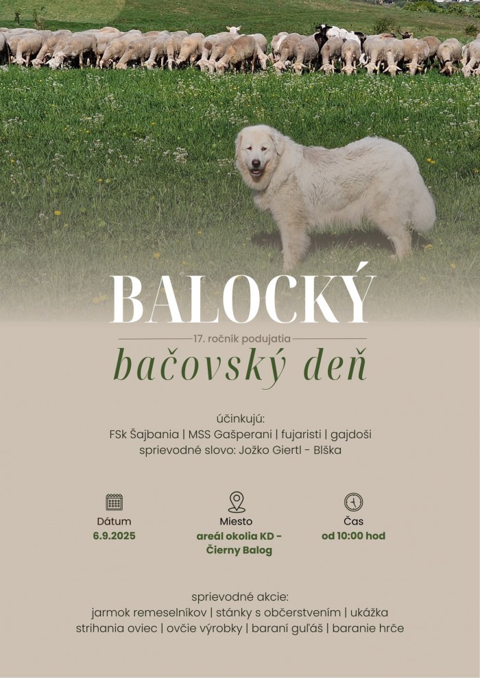 534383559 1076904134625080 2878273933802692602 n