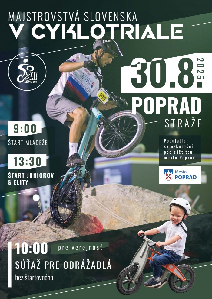 MSR 2025 PP A4