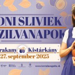 l 16to9 dnisliviek25