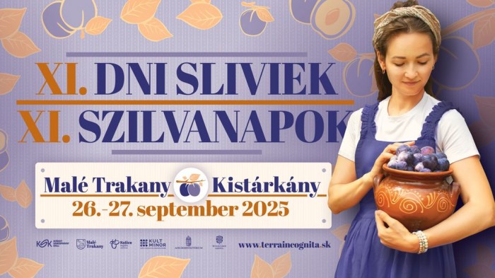 l 16to9 dnisliviek25