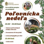 plagaty rok 2025 polovnicka nedela