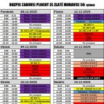 595171637 3203586619816128 1992287673782206655 n