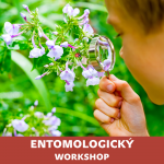entomologicky workshop