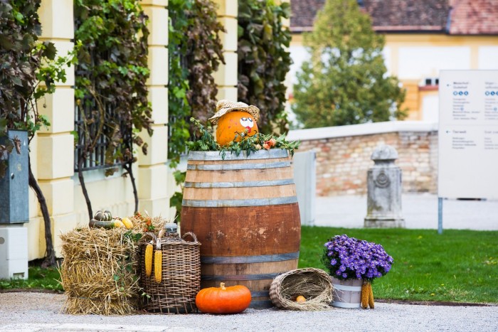 Herbstfest Schloss HofcSchloss Hof Foto Astrid Knie 14