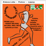 Deminka 2025 plagat