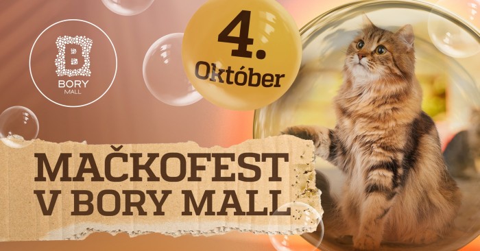 546624825 1185827013582888 1251752148795448391 n