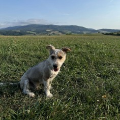 received 533158822487241