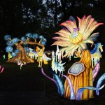 Wonderland BA 16