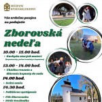 plagaty rok 2025 1