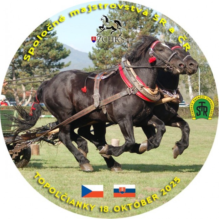 564598747 1493044748975460 8764641969908708490 n