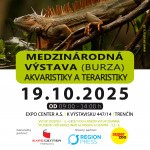 Plagat Trencin 2025