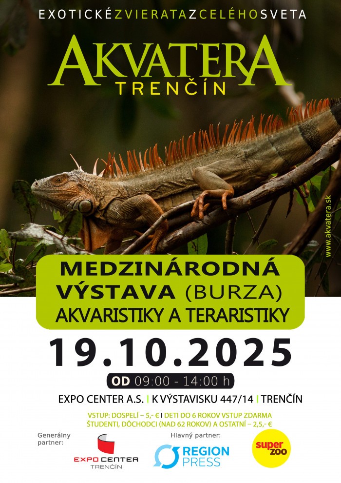Plagat Trencin 2025