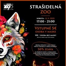 571282529 1295984842562278 183902105165361194 n