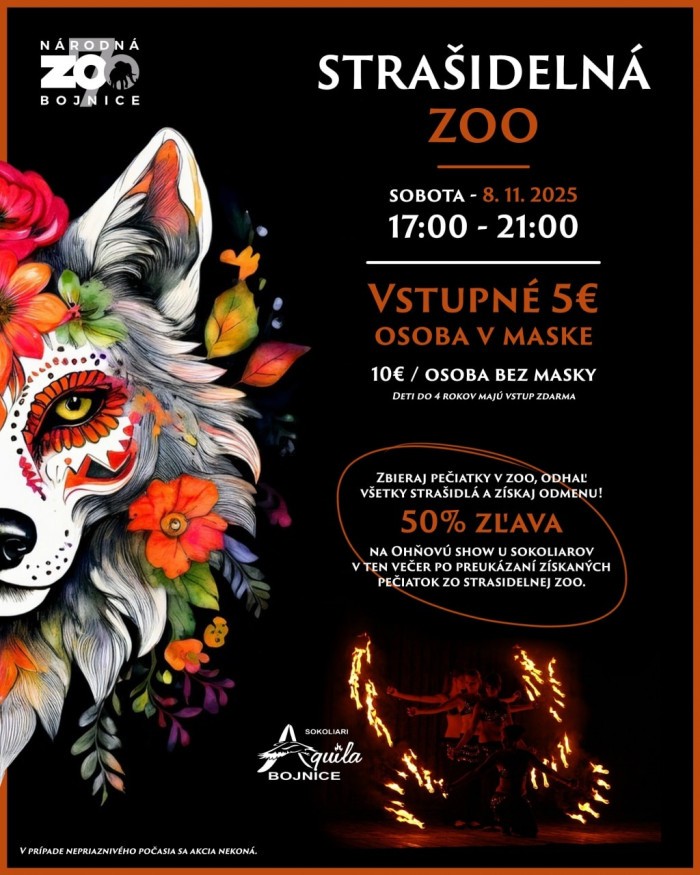 571282529 1295984842562278 183902105165361194 n