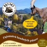 571414464 1259897852847356 1986237442865738767 n