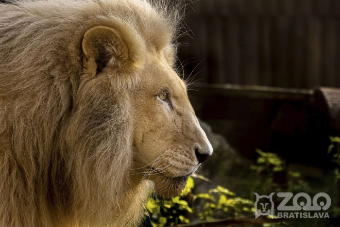 0273dbc9d47007a52289ffd6c86a9ae1 gallery