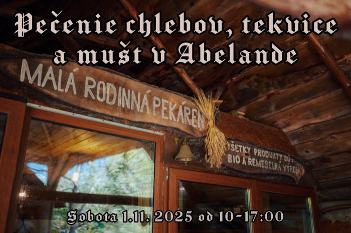 571564956 1201054922070909 5837776308979707924 n