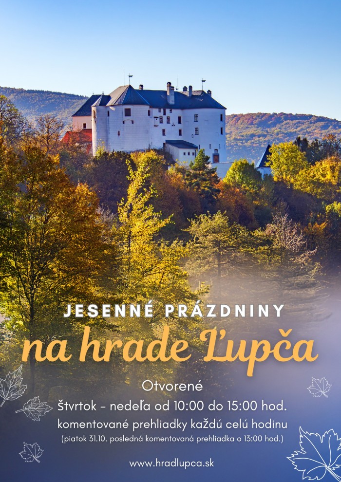 572801416 1128450936126426 1619031833996113689 n