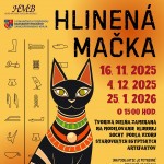 576500053 1365079988742532 4747949353645020264 n