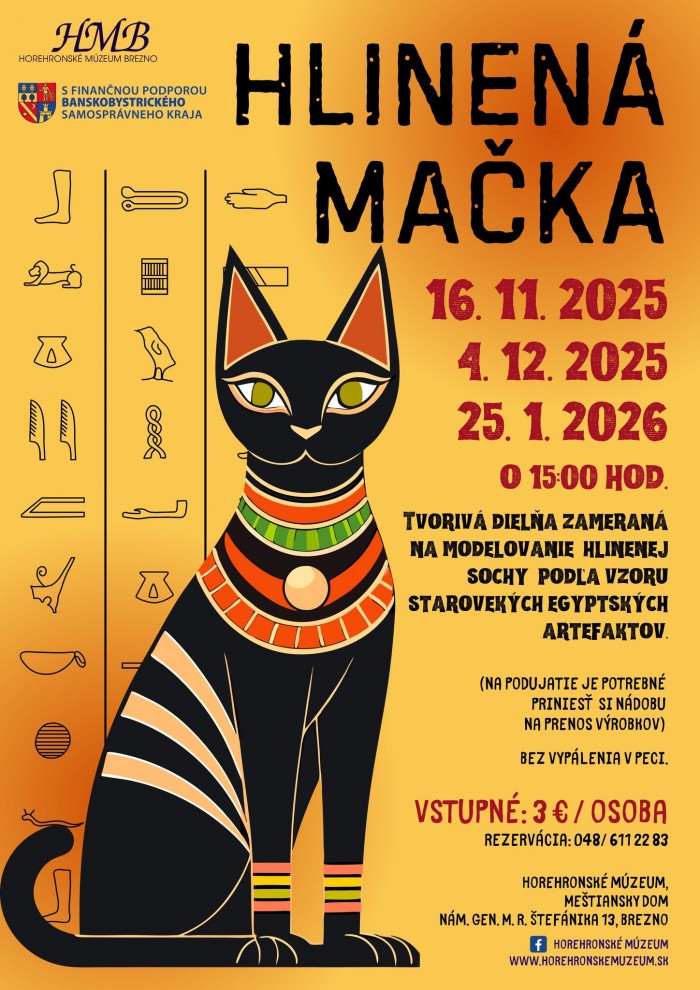 576500053 1365079988742532 4747949353645020264 n