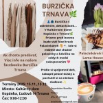Burzicka Trnava