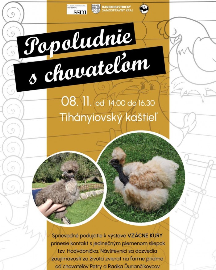 574398915 1424034659722585 4640580182288929629 n