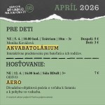 658772800 122244973634281773 3117902927570259408 n