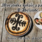 577172976 1206932184816516 8508431827377474992 n