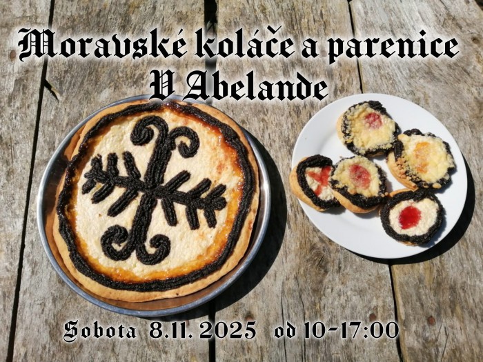 577172976 1206932184816516 8508431827377474992 n