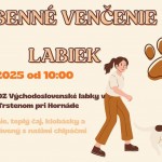 l 564584432 1208709441303429 861155857672884816 n