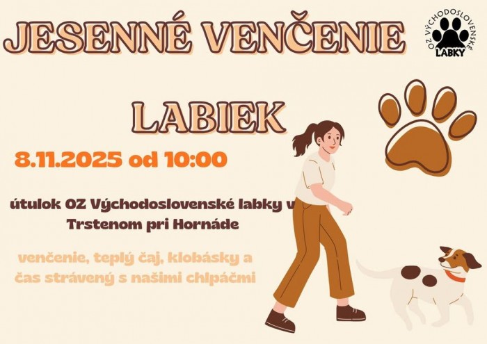 l 564584432 1208709441303429 861155857672884816 n