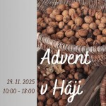 l 560053363 1263600702473335 3863628576153693613 n 2