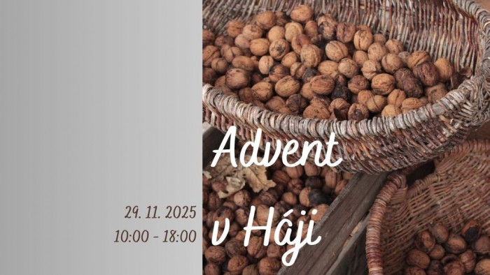 l 560053363 1263600702473335 3863628576153693613 n 2