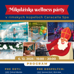 plagat mikulaska wellness party 2025