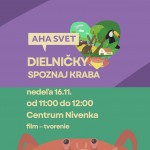 579269802 682710308252181 6185322717962960099 n