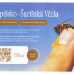 202511061133550.vcely