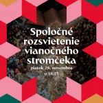 581153135 1135477768772098 6311086140888807173 n 2