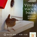 579665190 1281095117398058 7113192490738574953 n