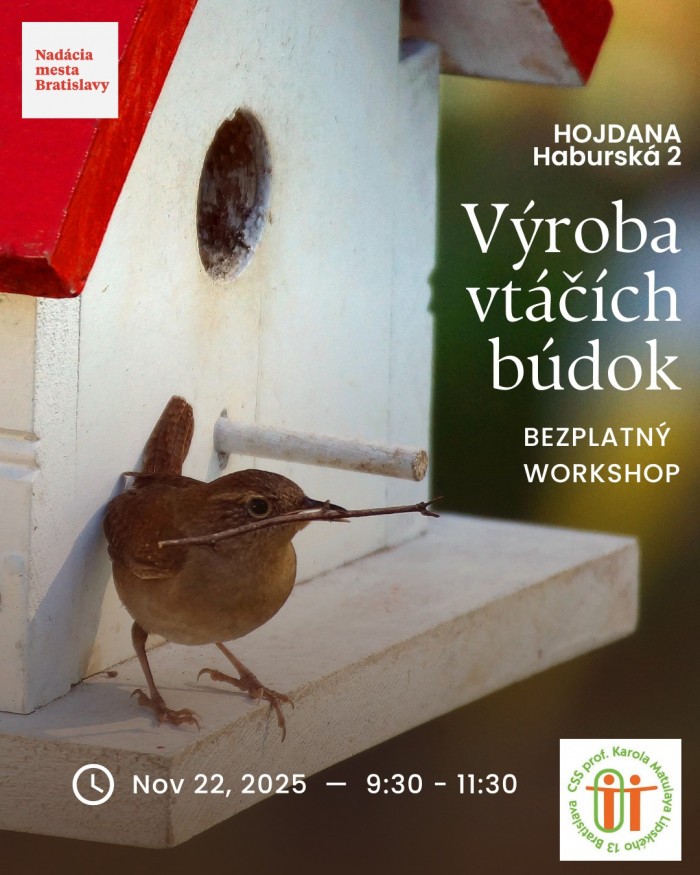 579665190 1281095117398058 7113192490738574953 n