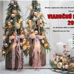 581035782 25670124345918328 4515073989524874765 n