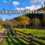 581838972 1212738514235883 8174065319410830386 n