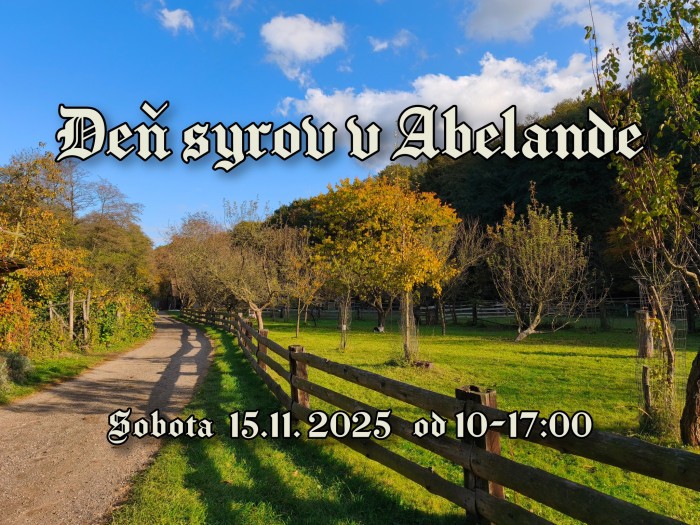 581838972 1212738514235883 8174065319410830386 n