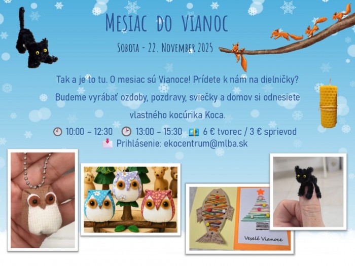 584532100 122235851504154823 5230992688482316917 n