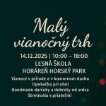 579196574 1253579750147906 2724727511099272332 n