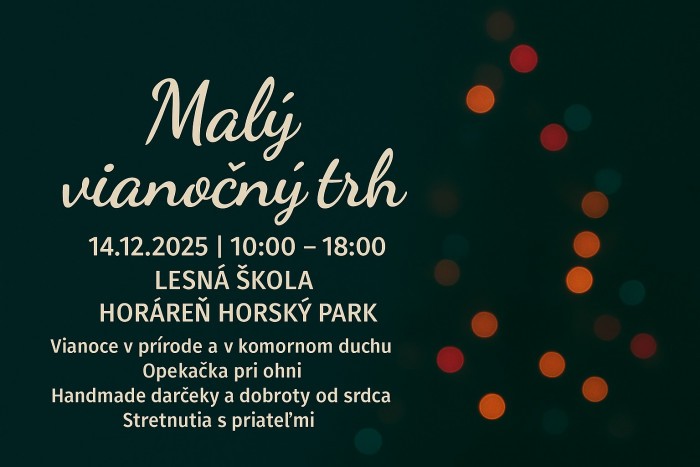 579196574 1253579750147906 2724727511099272332 n