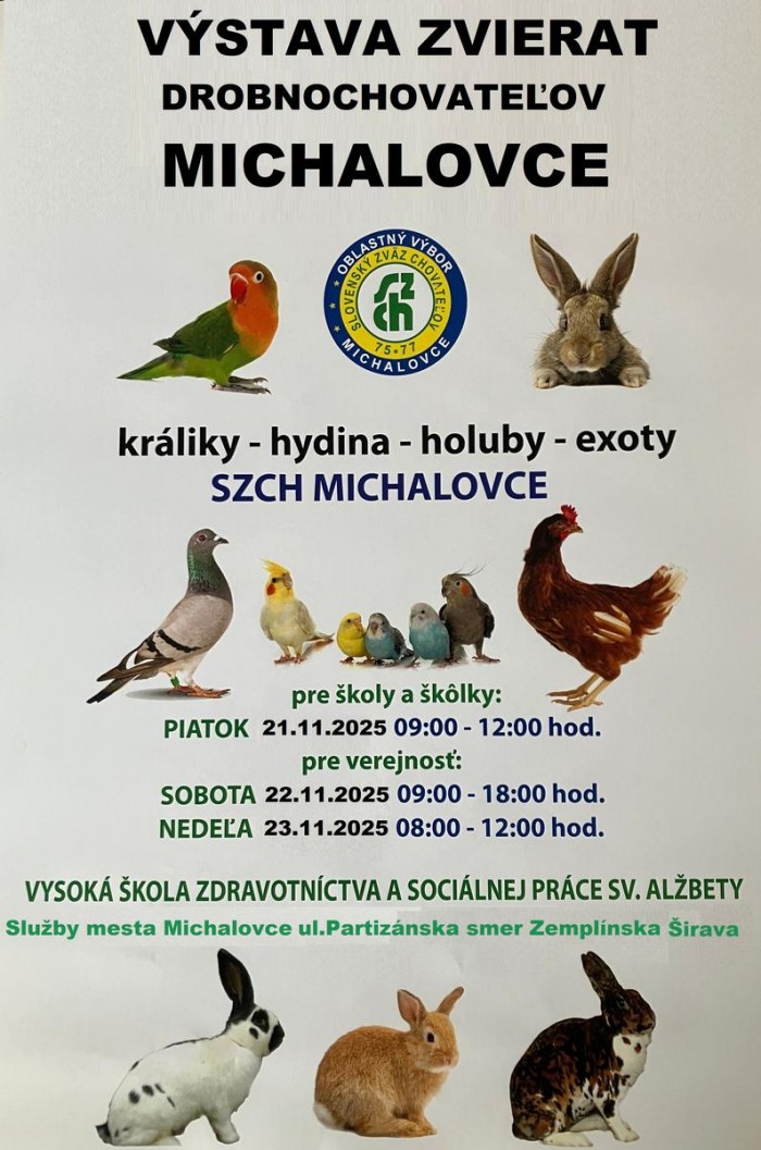 plagat vystava michalovce 2025 3