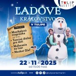 582333821 1249951030499438 6463838393886723718 n