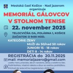 1000010400 1 724x1024