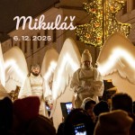 584899166 1427801582265441 5833744593181905662 n